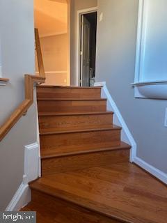 PORT POTOMAC - Residential