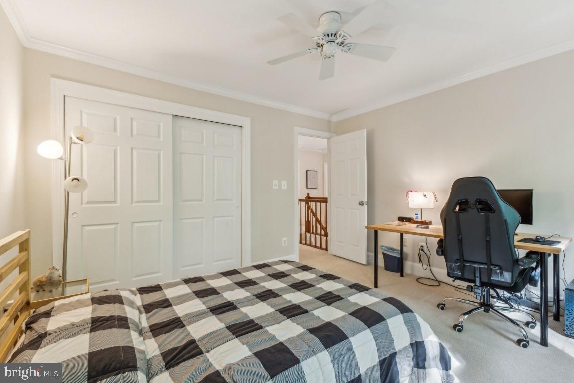 ARDMORE WOODS - Residential