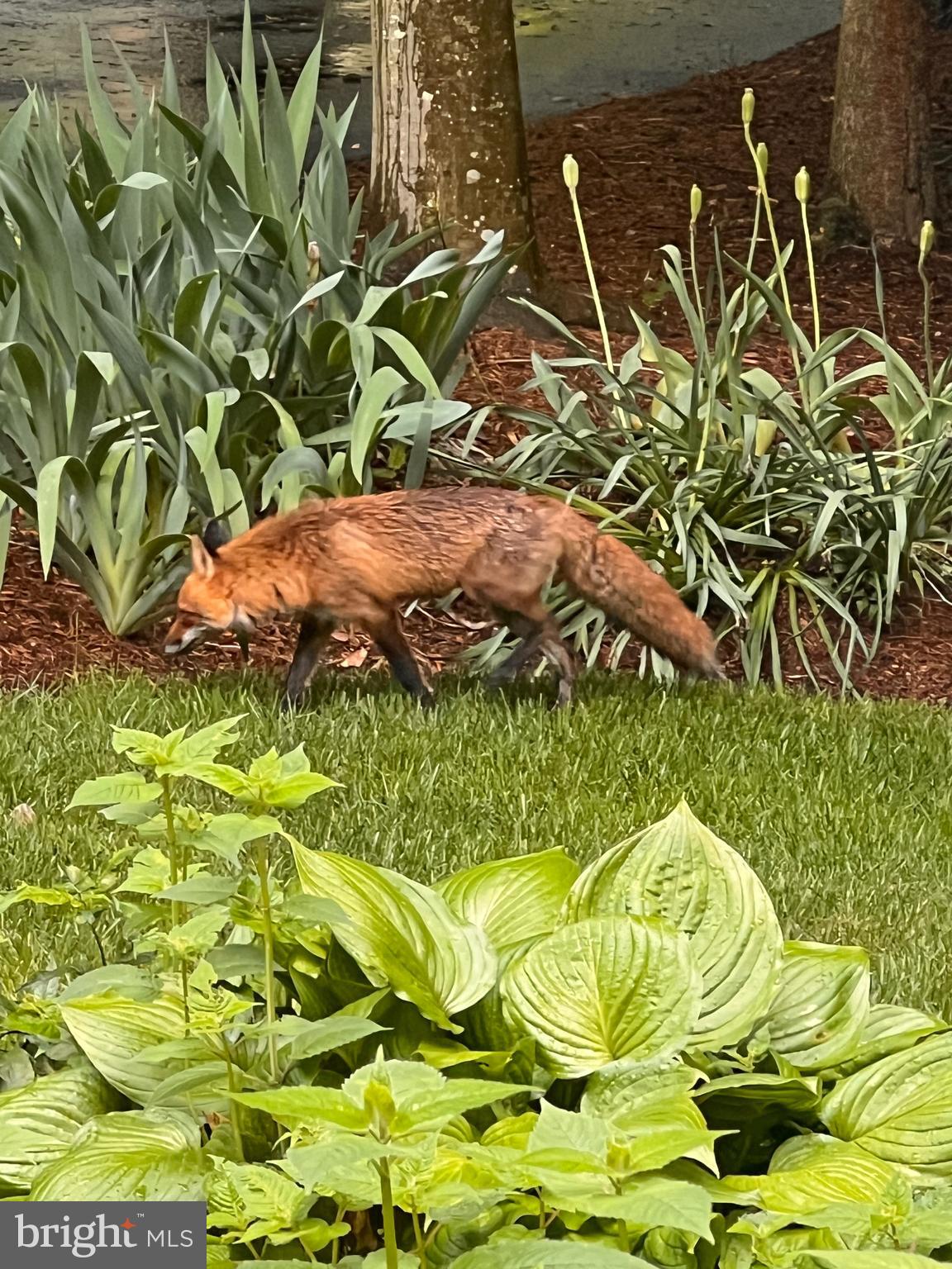 ARDMORE WOODS - Residential