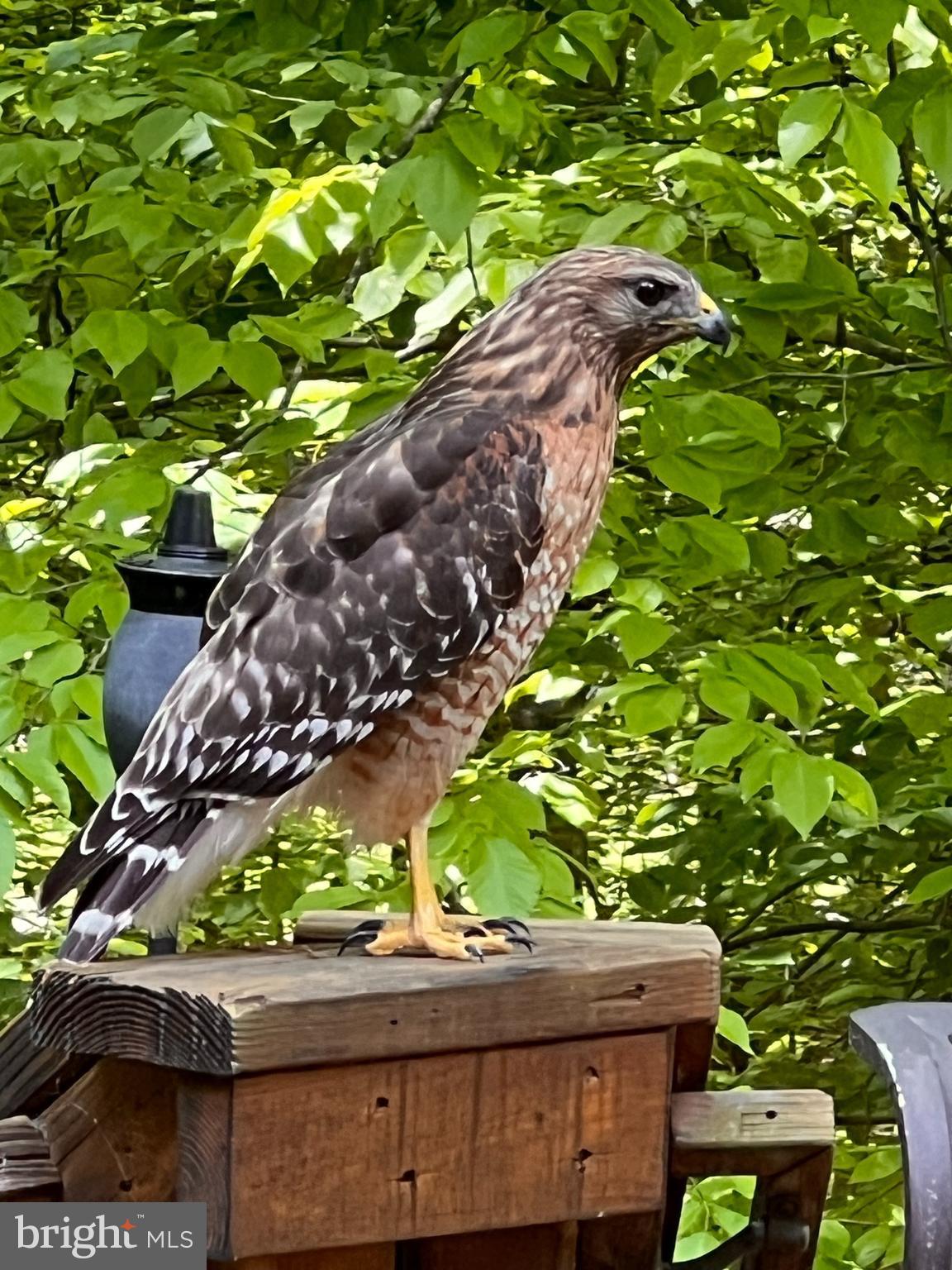 ARDMORE WOODS - Residential