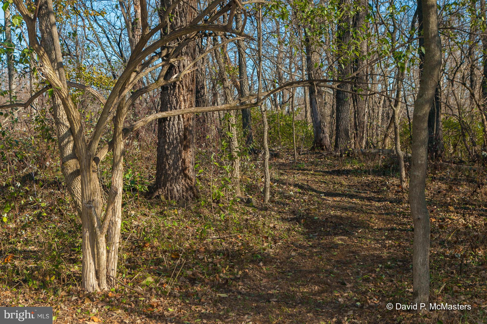 TUSCARORA HILLS - Residential