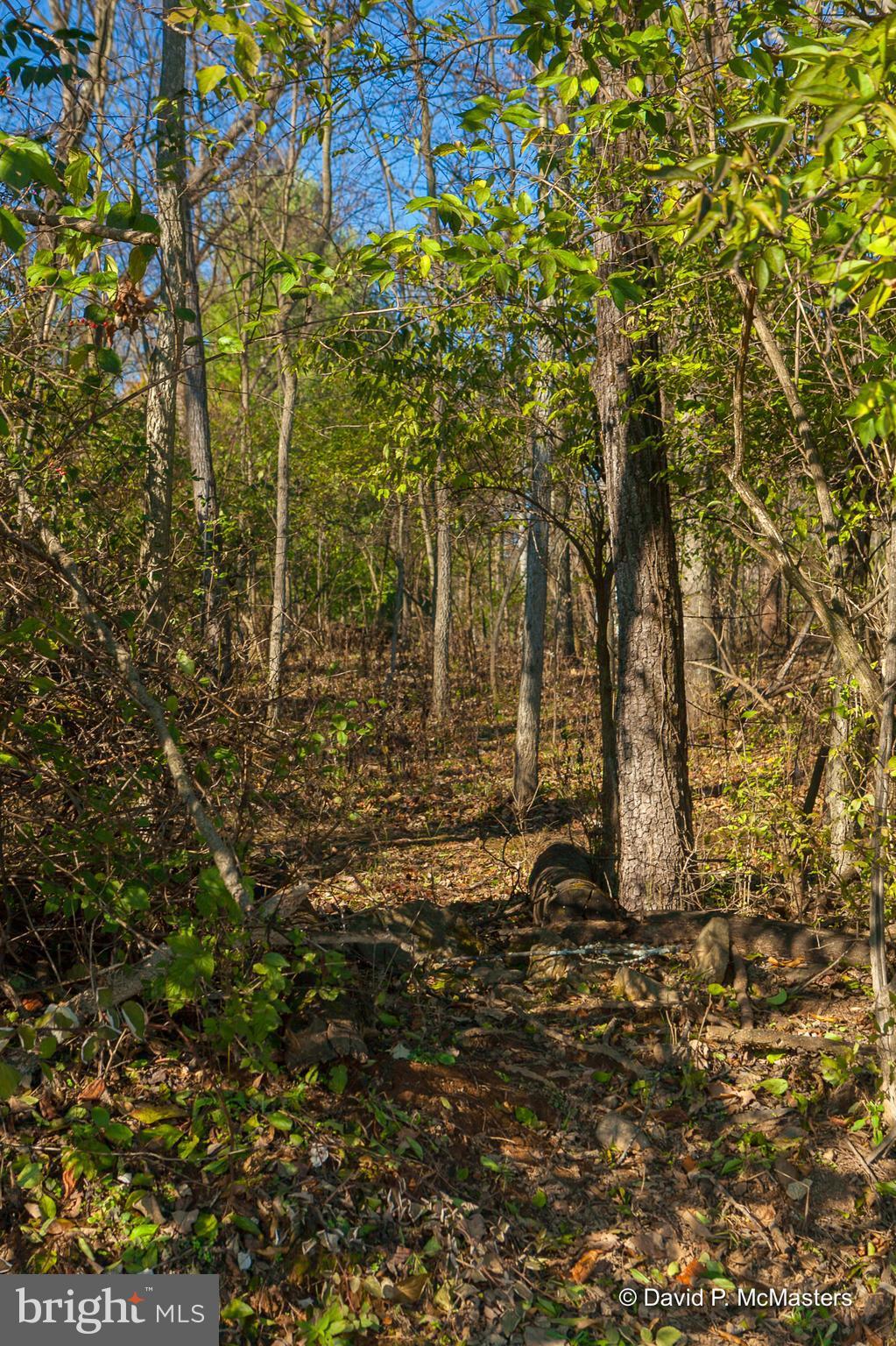 TUSCARORA HILLS - Residential