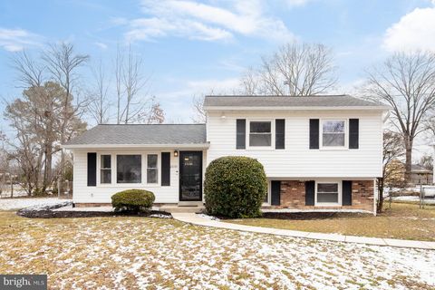 8007 NOEL STREET ALEXANDRIA VA 22309