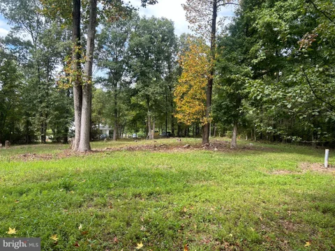 MLS: MDPG2204600