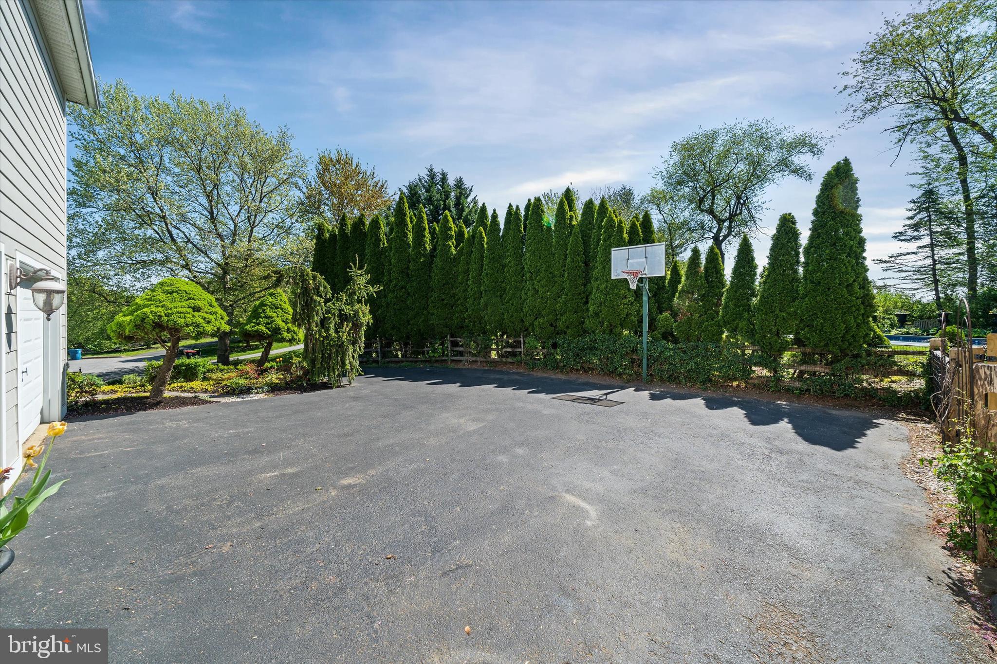 BLACKSHIRE - Residential