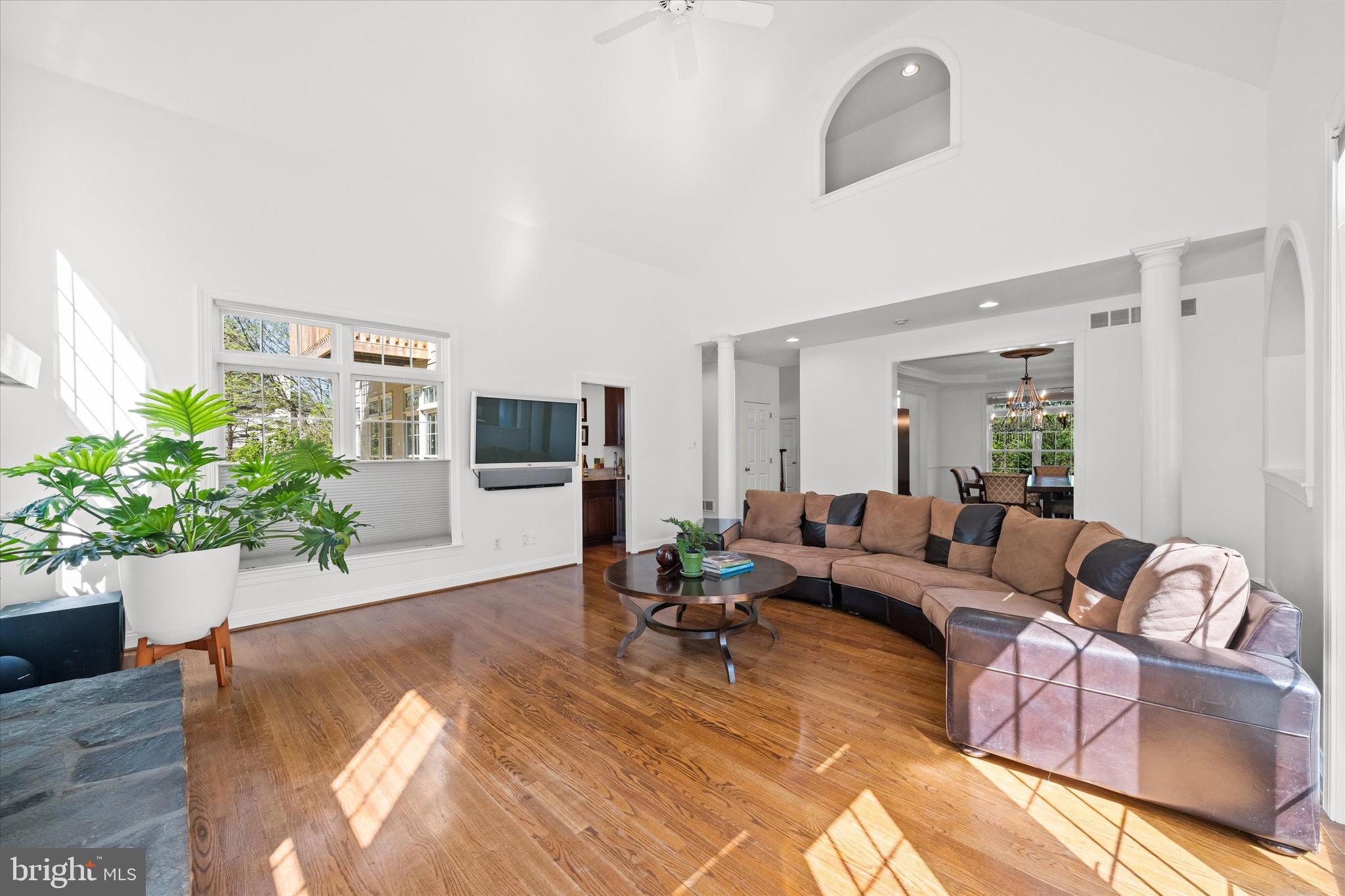 BLACKSHIRE - Residential