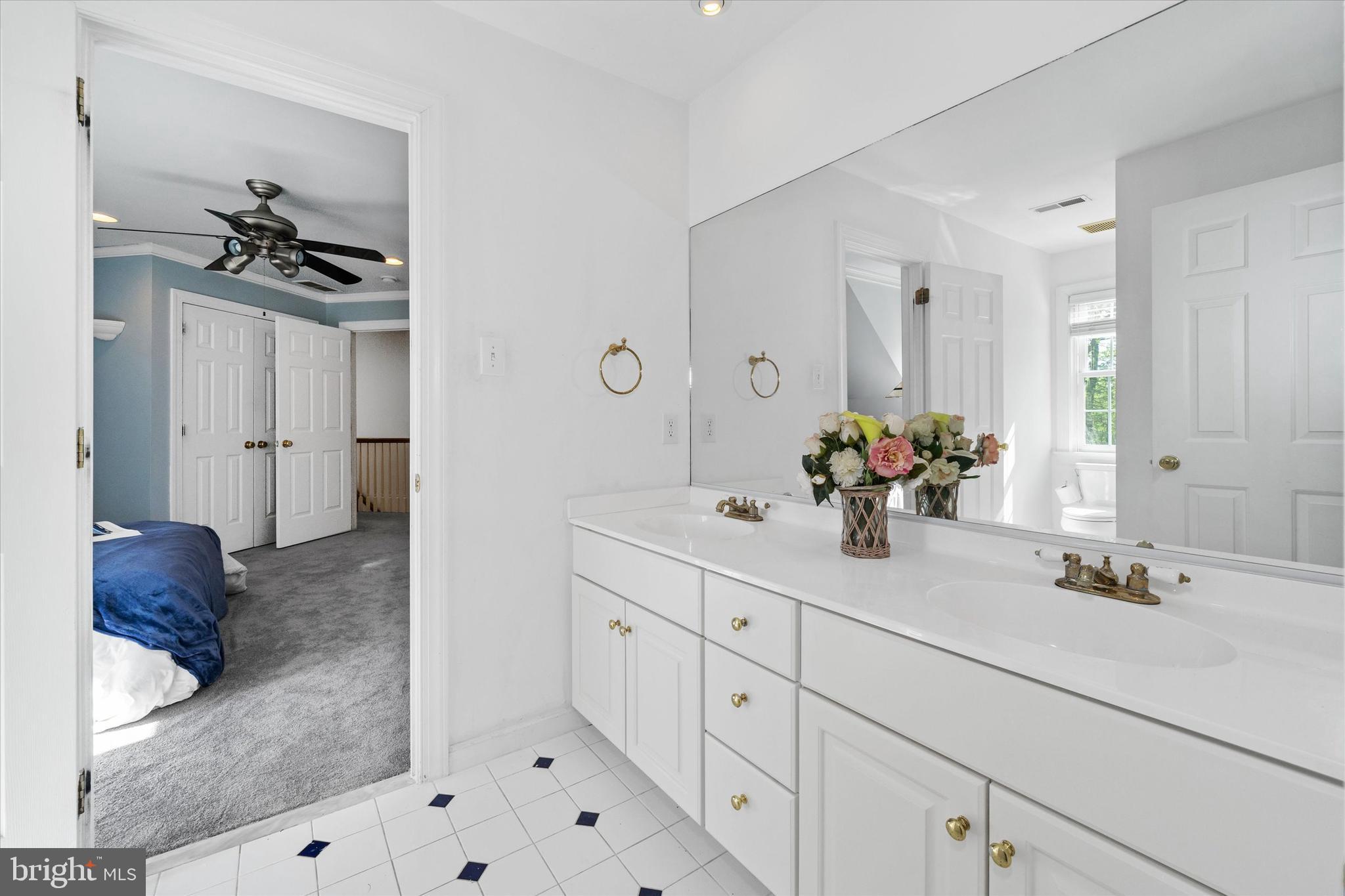 BLACKSHIRE - Residential