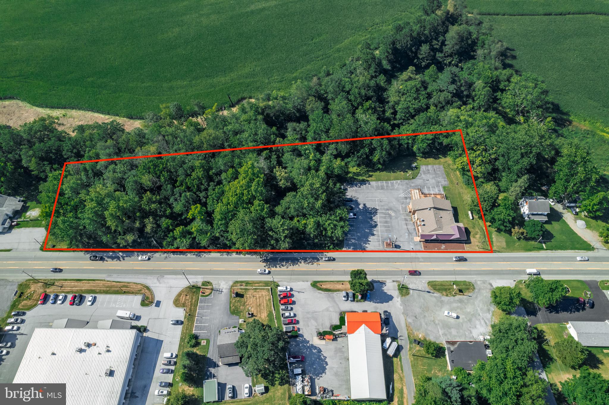 Main image without alt text