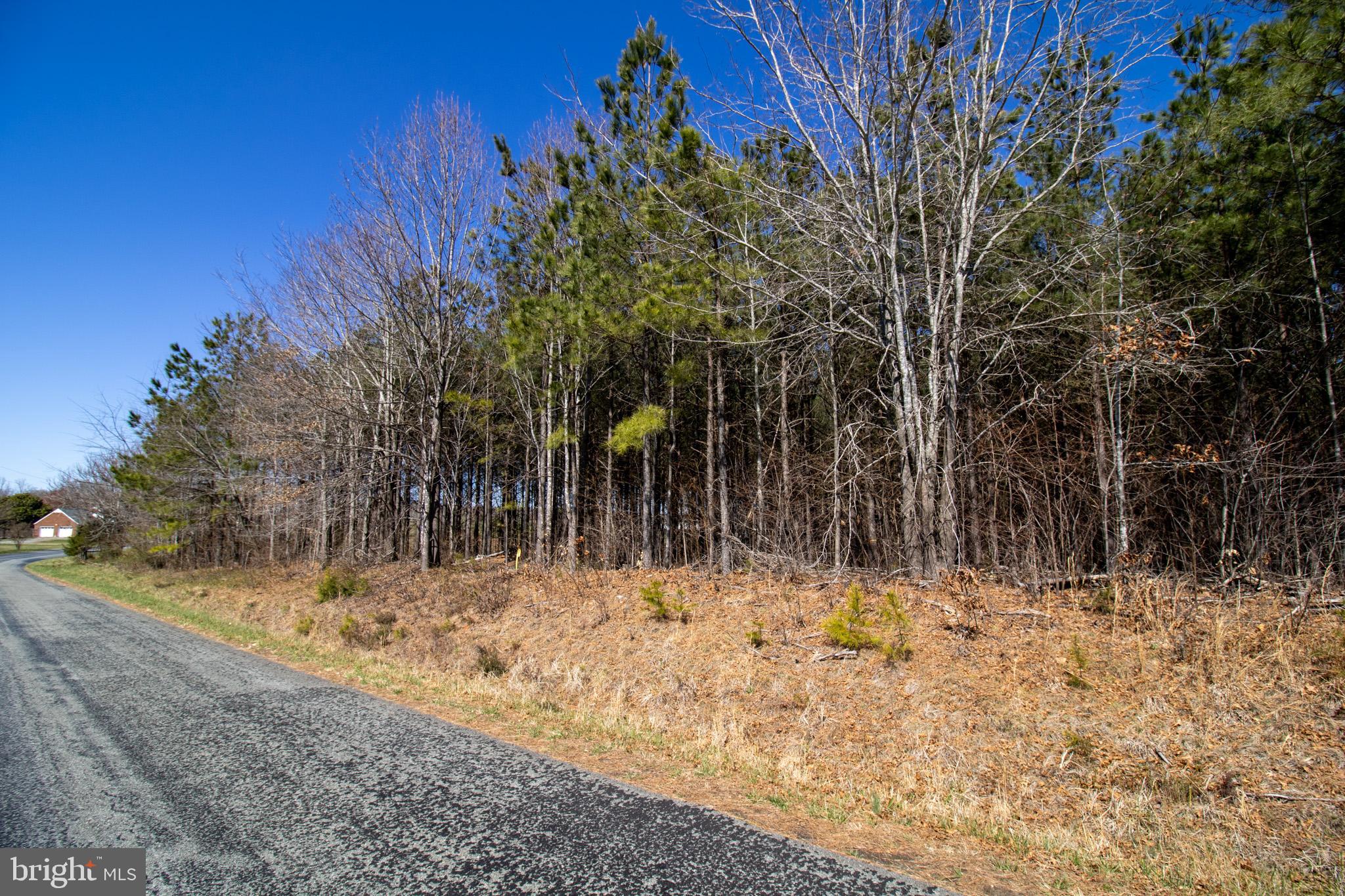 TBD OLD FRANKLIN TURNPIKE 4