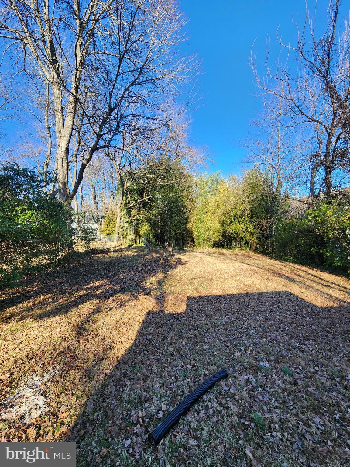 ROCKCREST - Residential