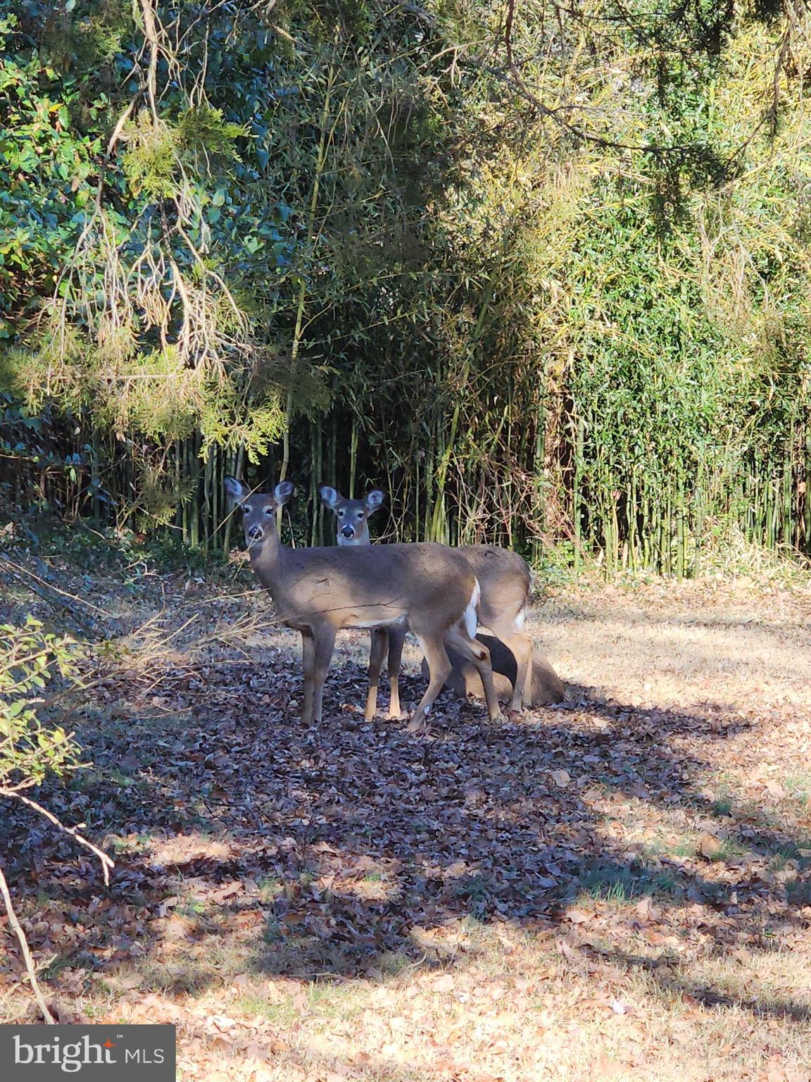 ROCKCREST - Residential