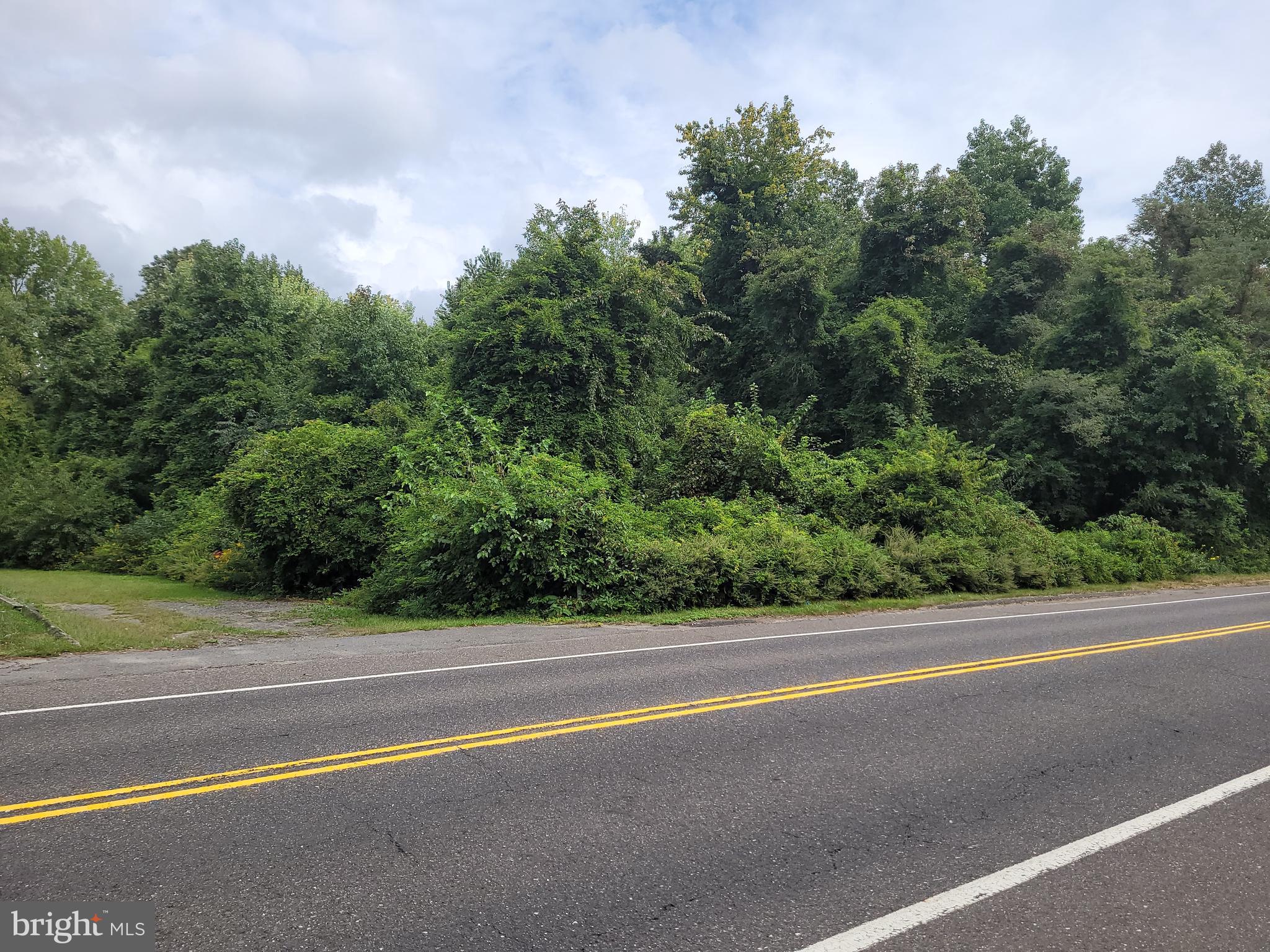 229 and 225 JACOBSTOWN NEW EGYPT