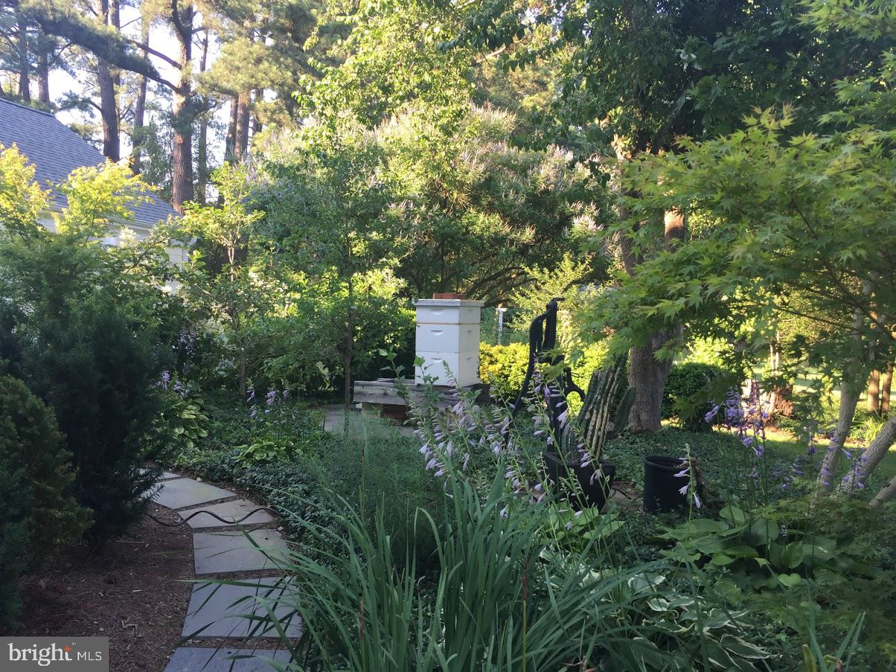 BROAD NECK - Residential