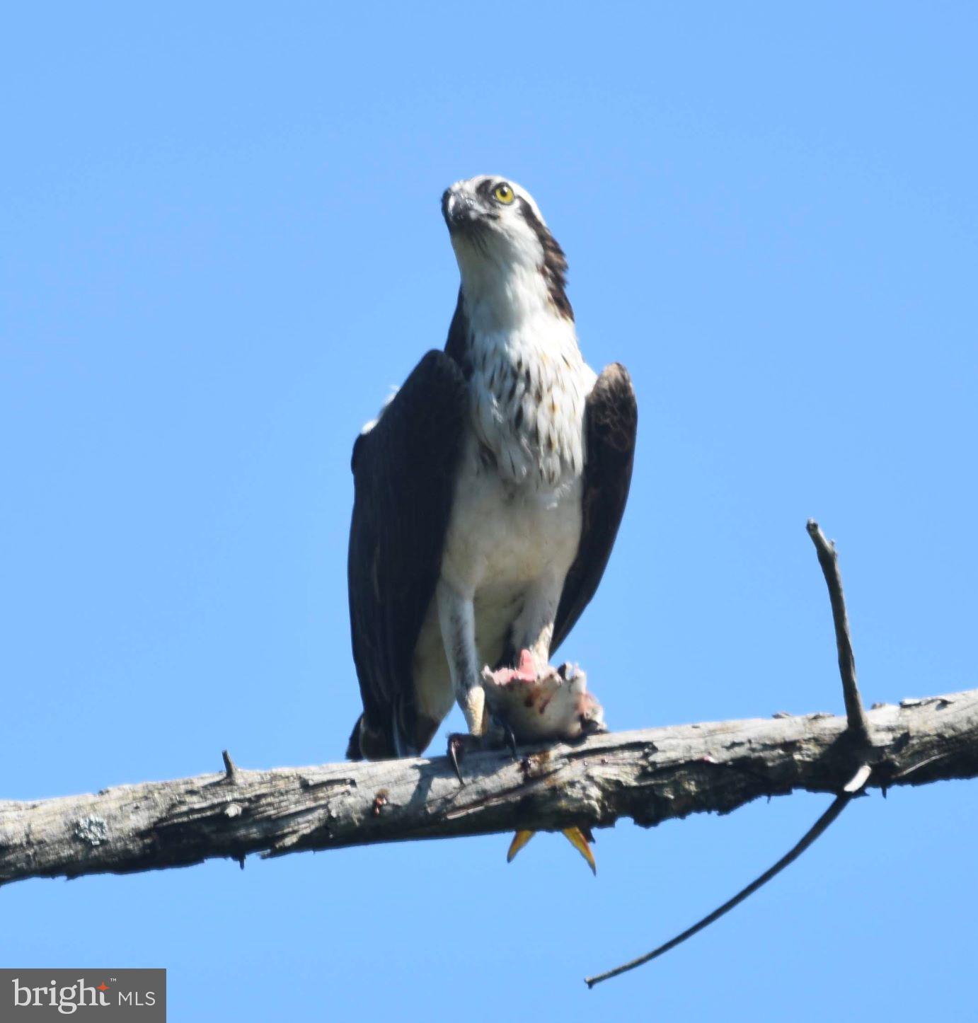BROAD NECK - Residential