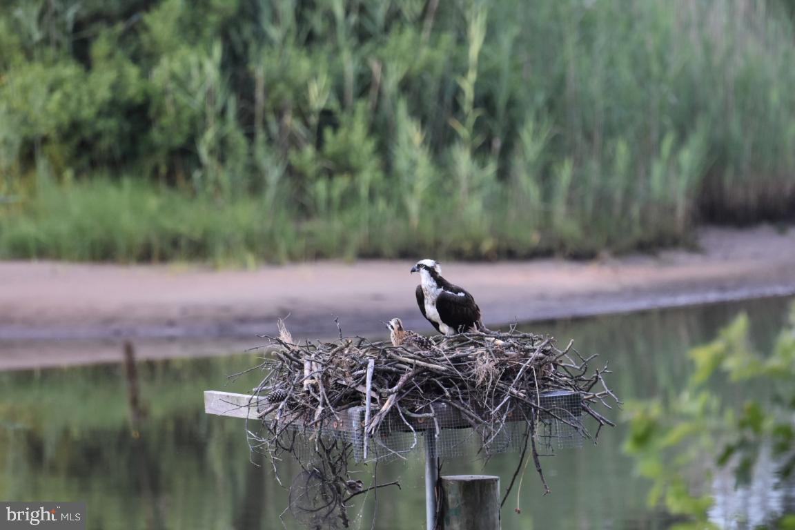BROAD NECK - Residential