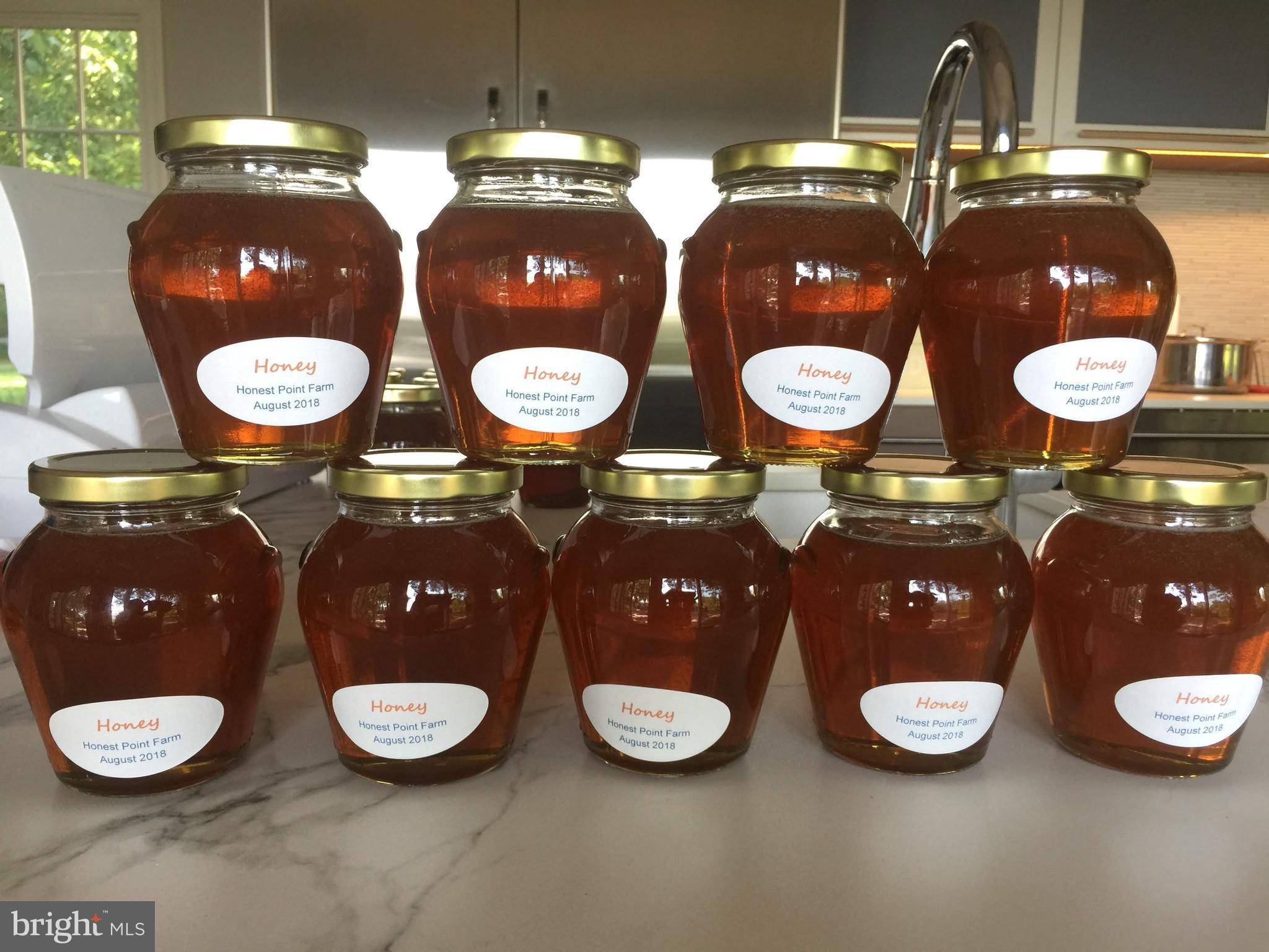 BROAD NECK - Residential