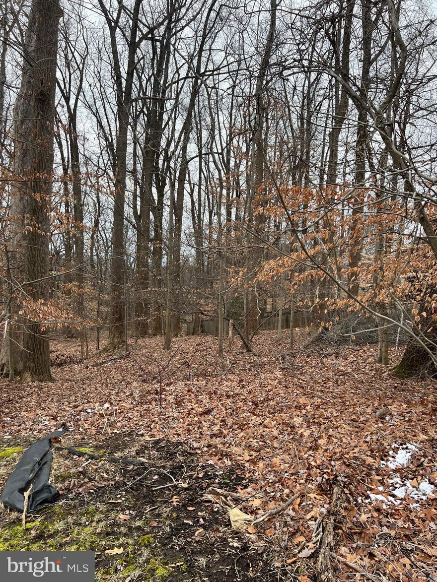 NO HOA!! Beautiful 1.5 acre lot in a well established neighborhood - ready to build your dream home! Bring your own builder or use one of ours! Great location for commuters working in DC. This land has access to public water and sewer. NOTE: Uploaded documents are for reference only. These are documents the owner had approved when they were going to build a couple of years ago and will need to be redone. Buyer to do their own due diligence  Please contact the listing agent with any questions.