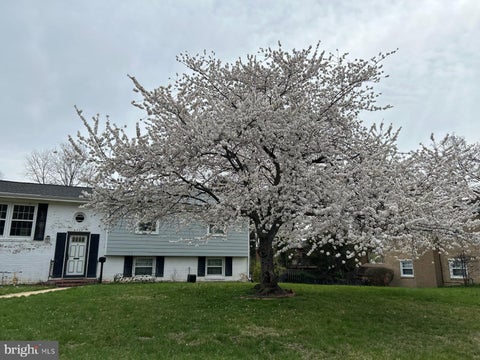 Photo of 6717 Anthony Street, ALEXANDRIA, VA 22306 (MLS # VAFX2343280)
