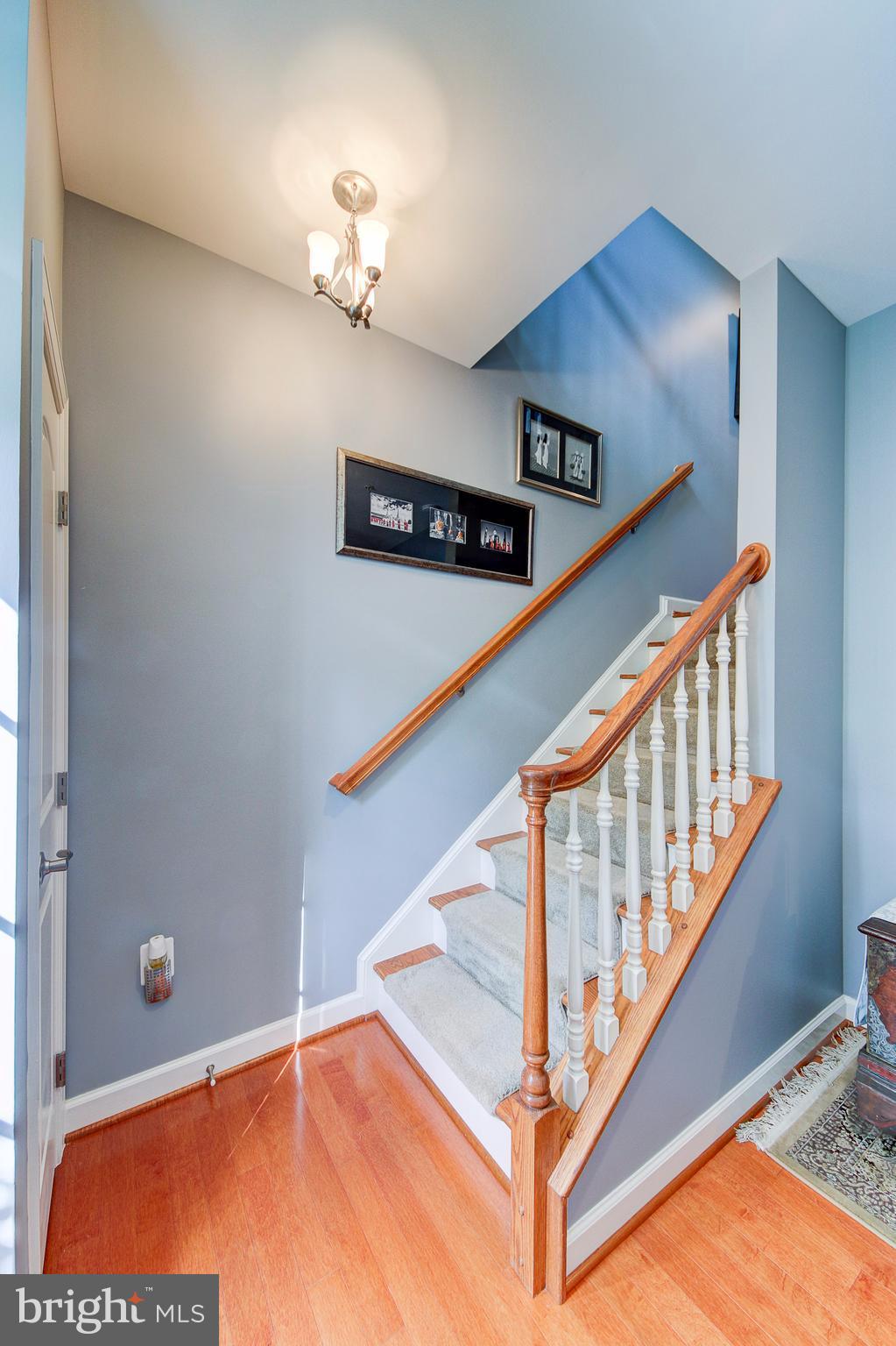 MAPLE LAWN FARMS - Residential