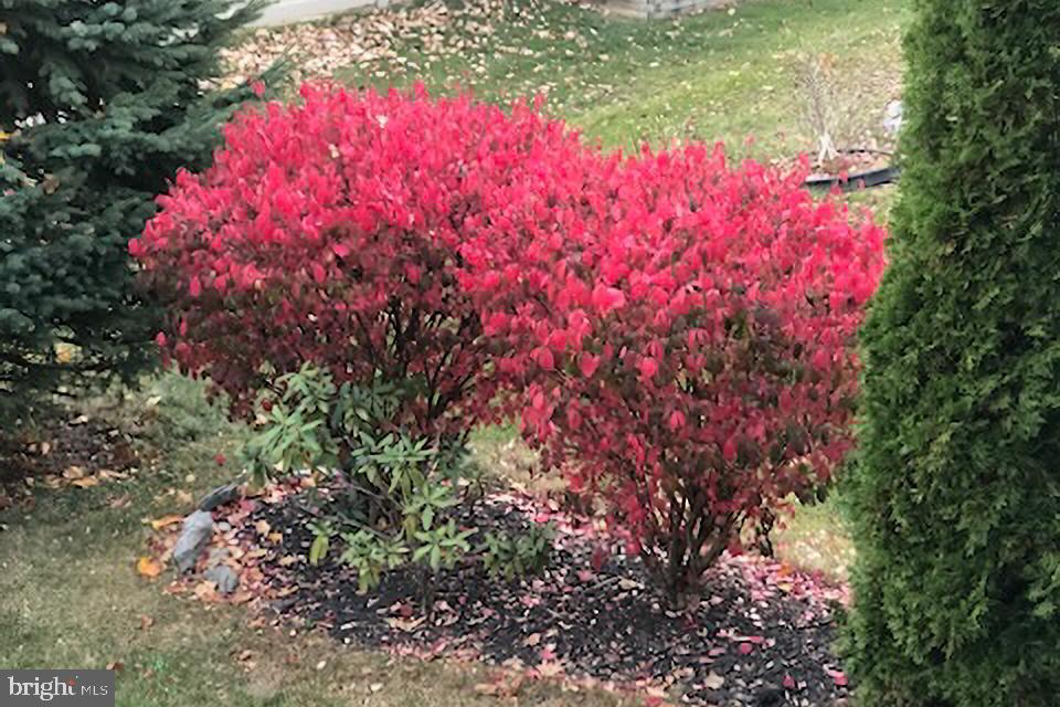 GREEN PARK - Residential