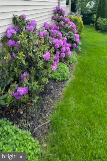 GREEN PARK - Residential