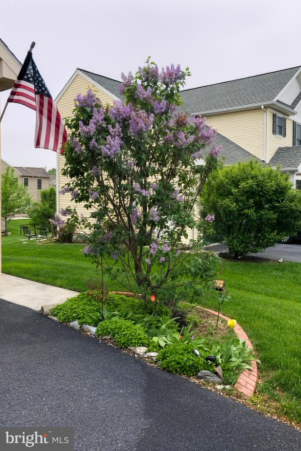 GREEN PARK - Residential