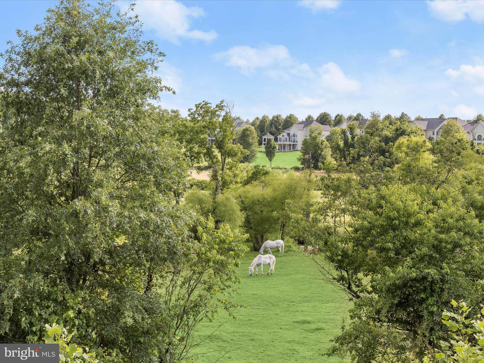 ENCLAVE AT RIVER HILL - Residential