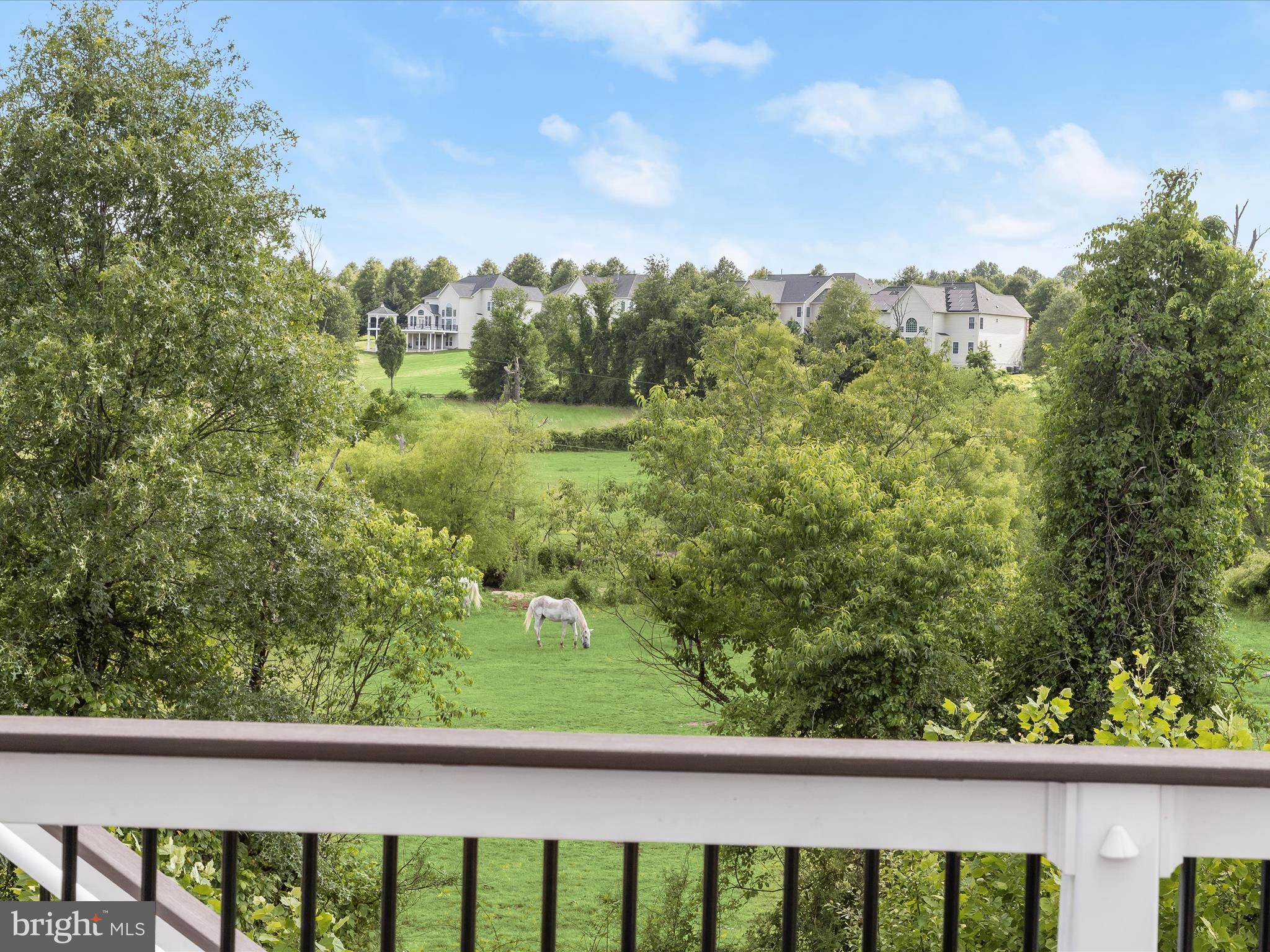 ENCLAVE AT RIVER HILL - Residential