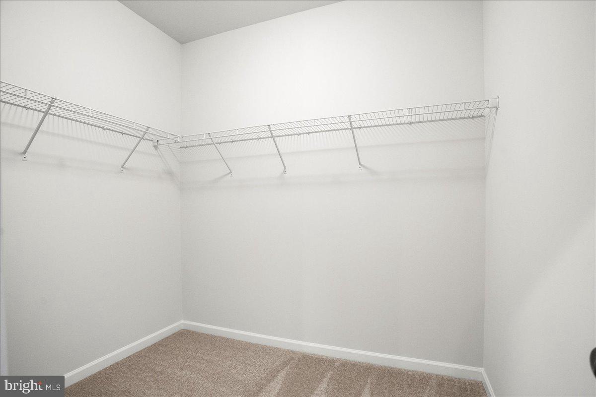 SWAN POINT - Residential