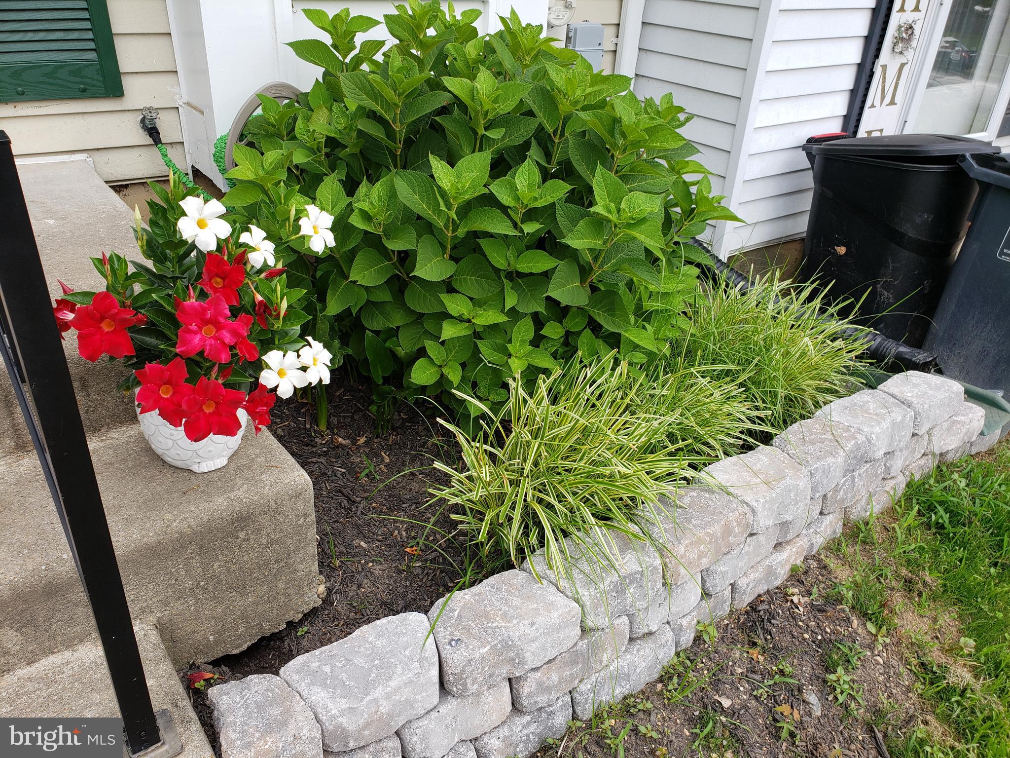 WOODBRIDGE CENTER - Residential Lease