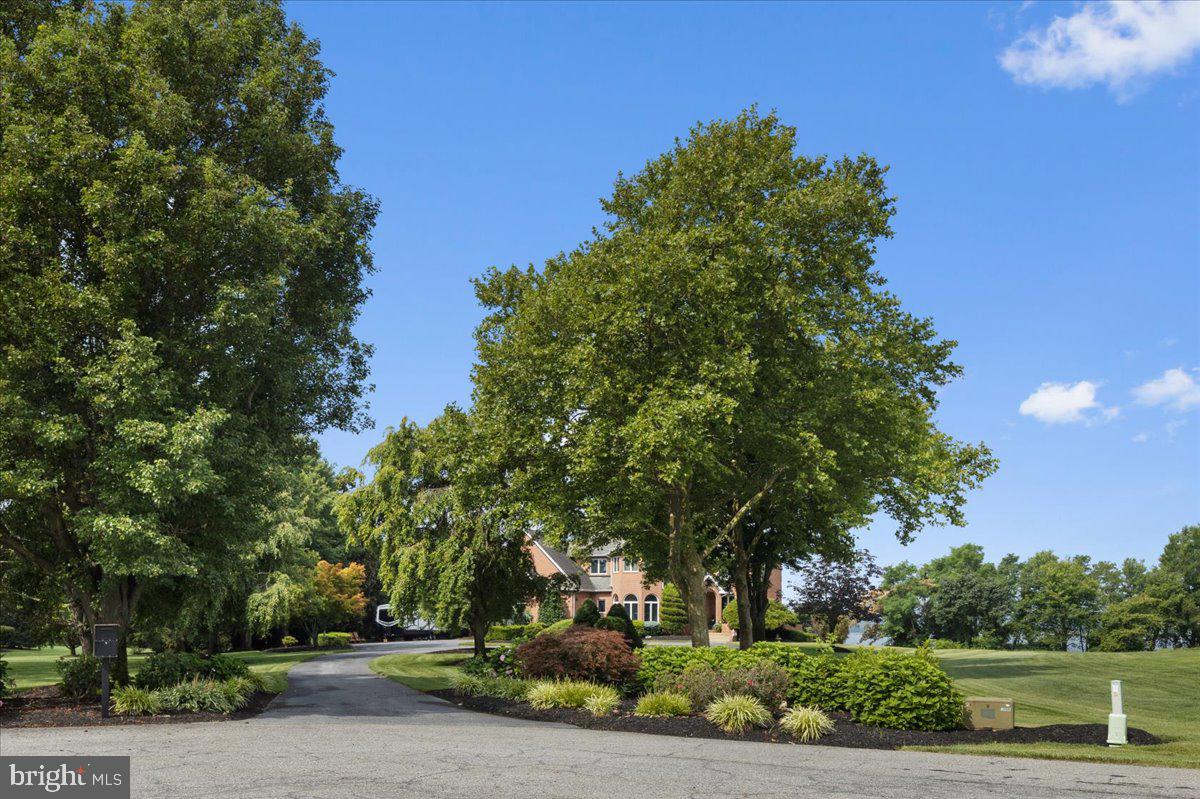 BUENA VISTA HILLS - Residential