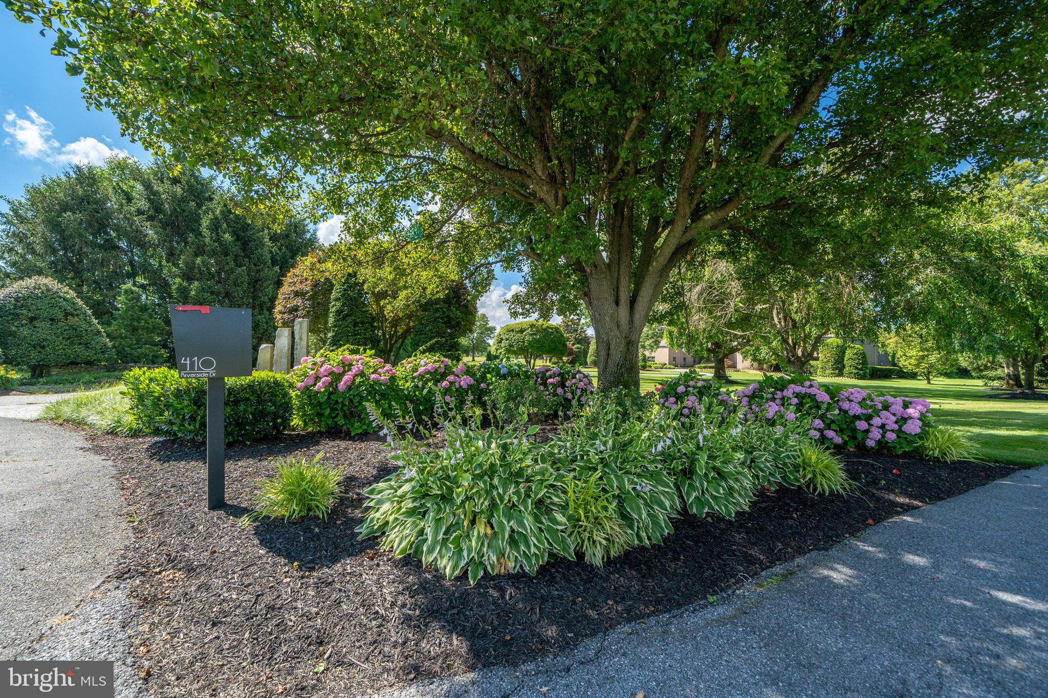 BUENA VISTA HILLS - Residential