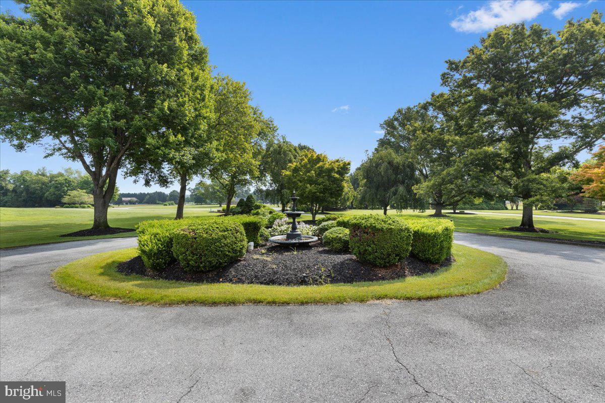 BUENA VISTA HILLS - Residential