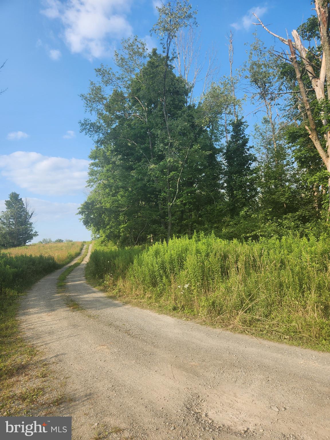 SR247