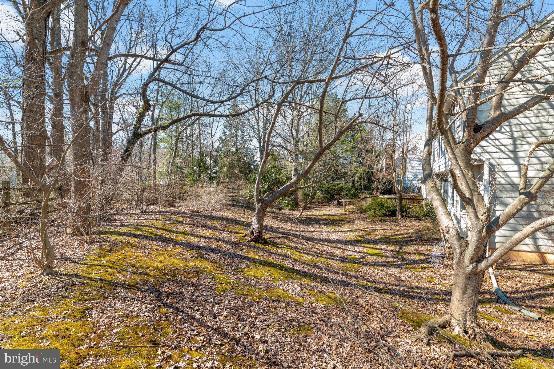 VILLAGE OF HICKORY RIDGE - Residential