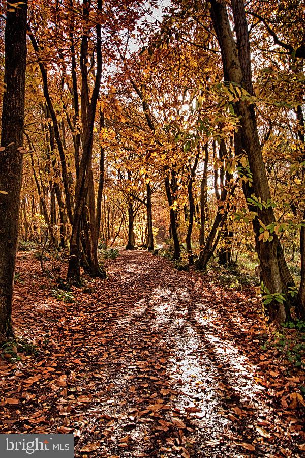 17436 CLAGGETT LANDING ROAD