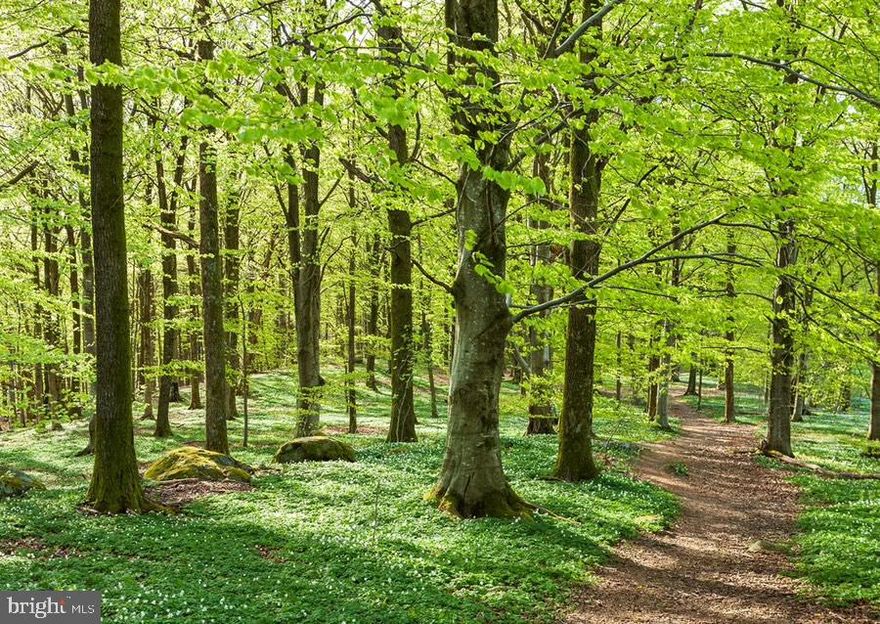 Approximately 55 forested acres comprised of 17 different parcels.  Privacy and seclusion but minutes from Rt. 301 and all of the shopping in Bowie and quick access to DC and Annapolis.