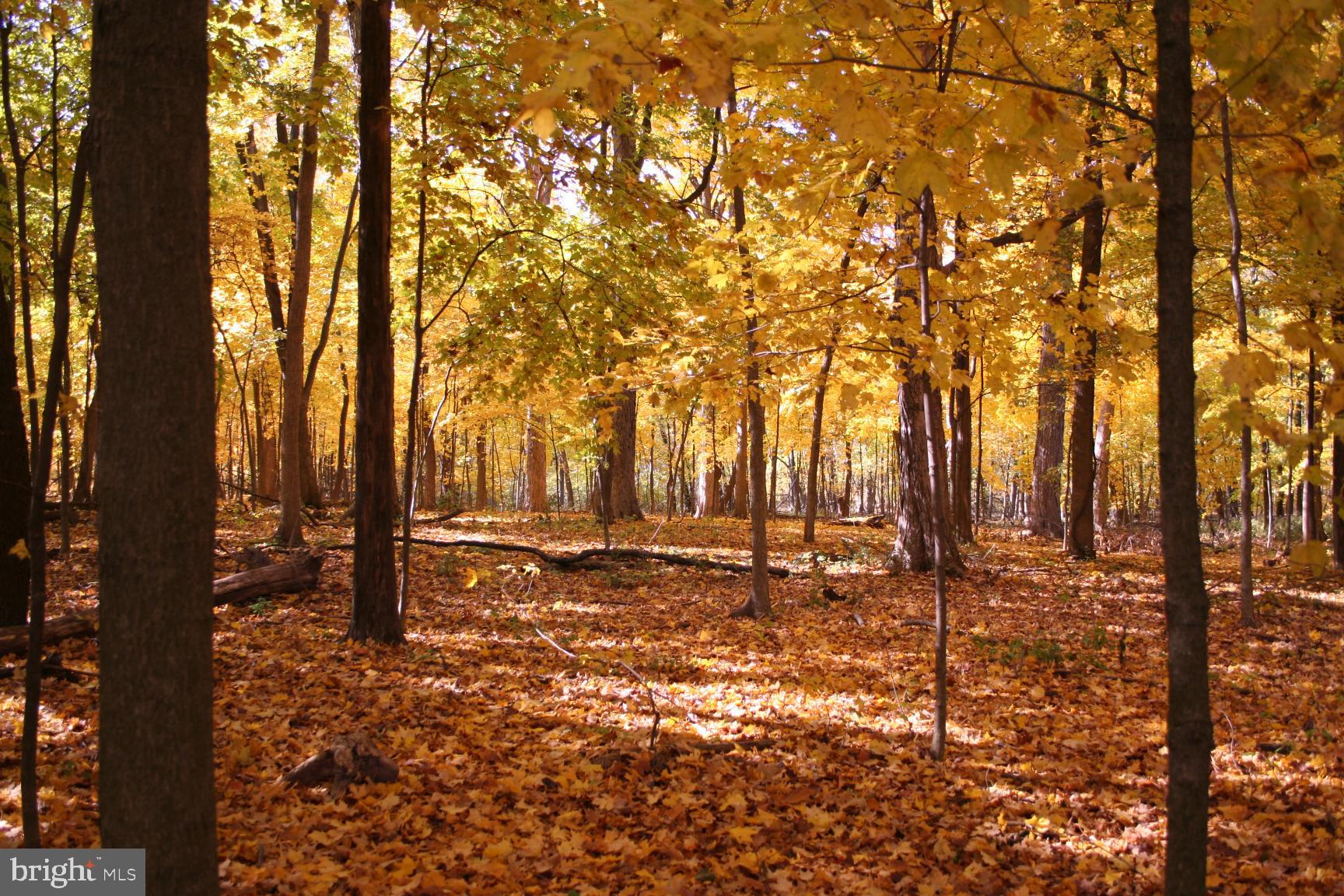 17436 CLAGGETT LANDING ROAD