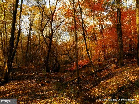 17436 CLAGGETT LANDING ROAD