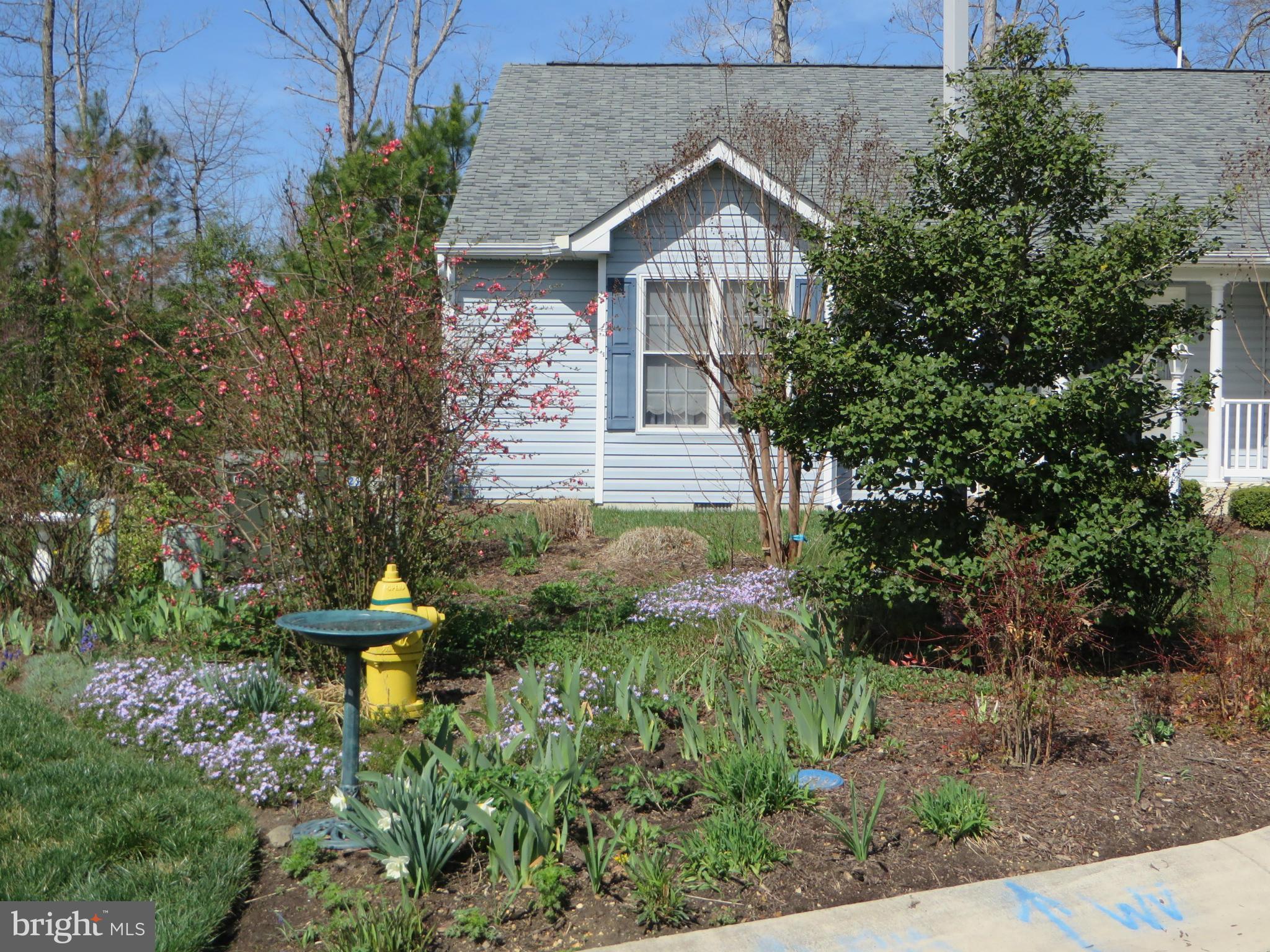 VILLAGES AT WILDEWOOD - Residential