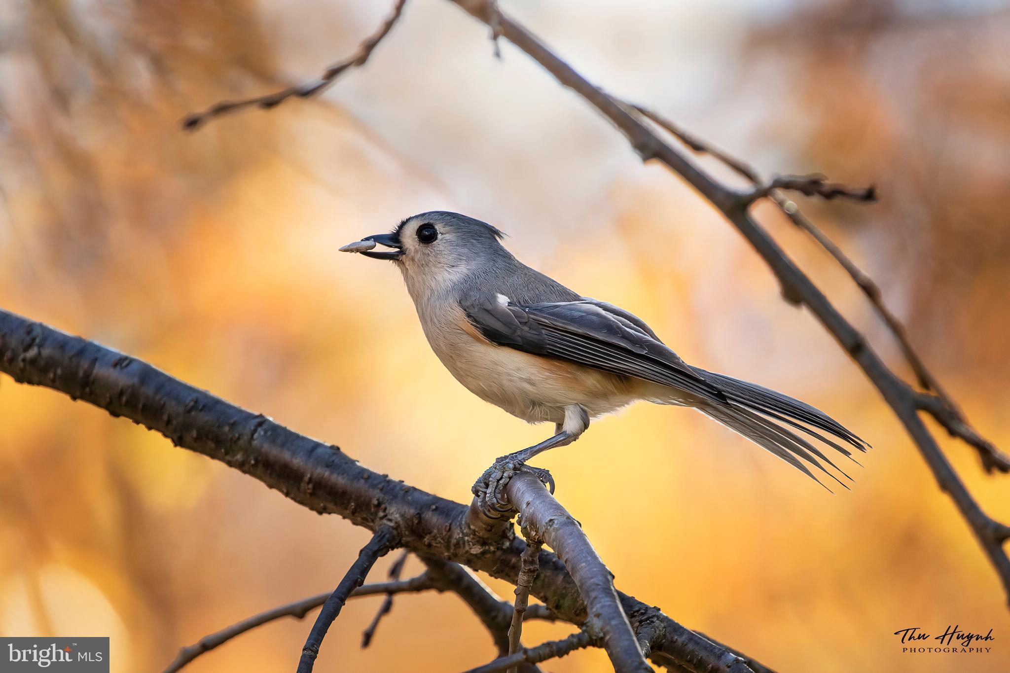 LOUDOUN VALLEY ESTATES - Residential