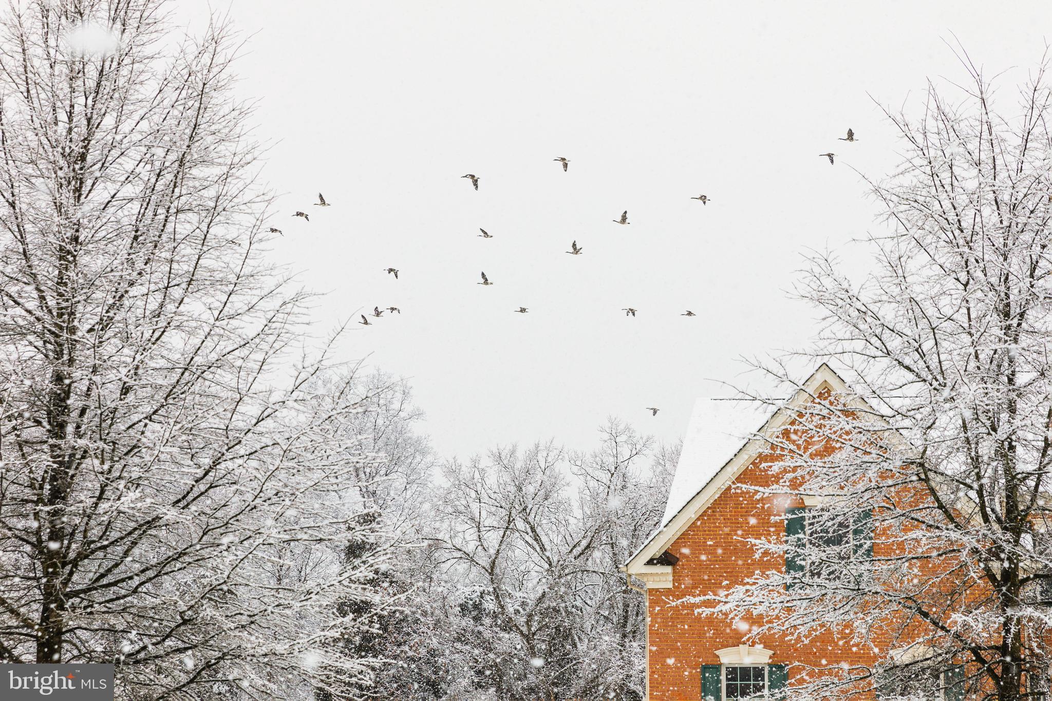 LOUDOUN VALLEY ESTATES - Residential