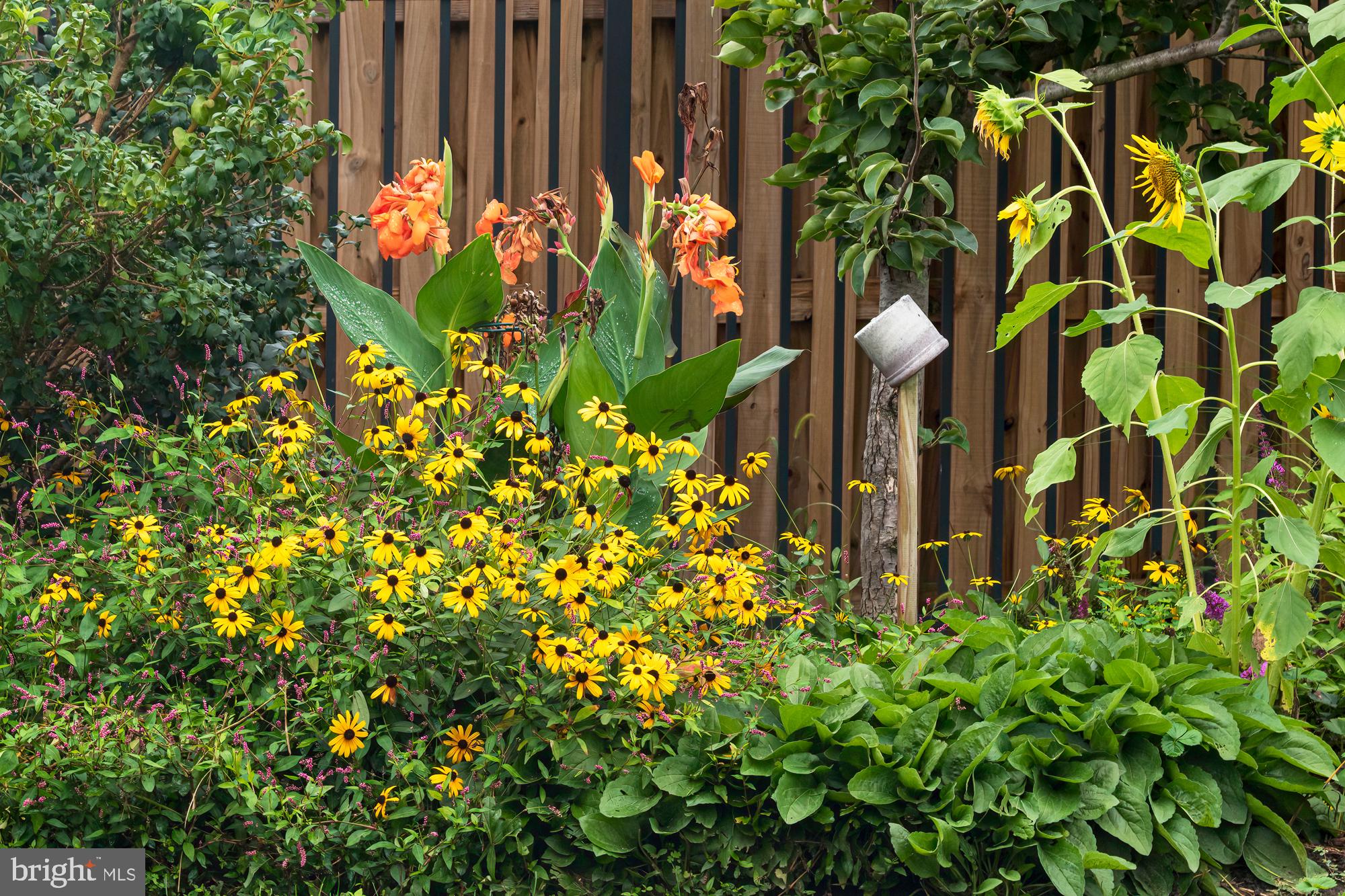 LOUDOUN VALLEY ESTATES - Residential