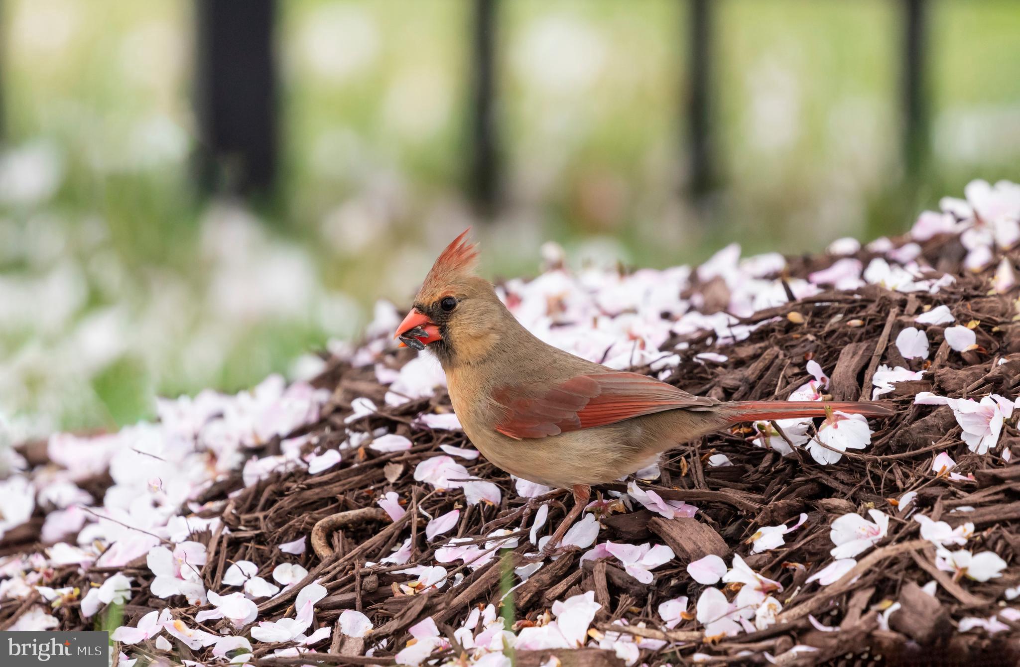 LOUDOUN VALLEY ESTATES - Residential