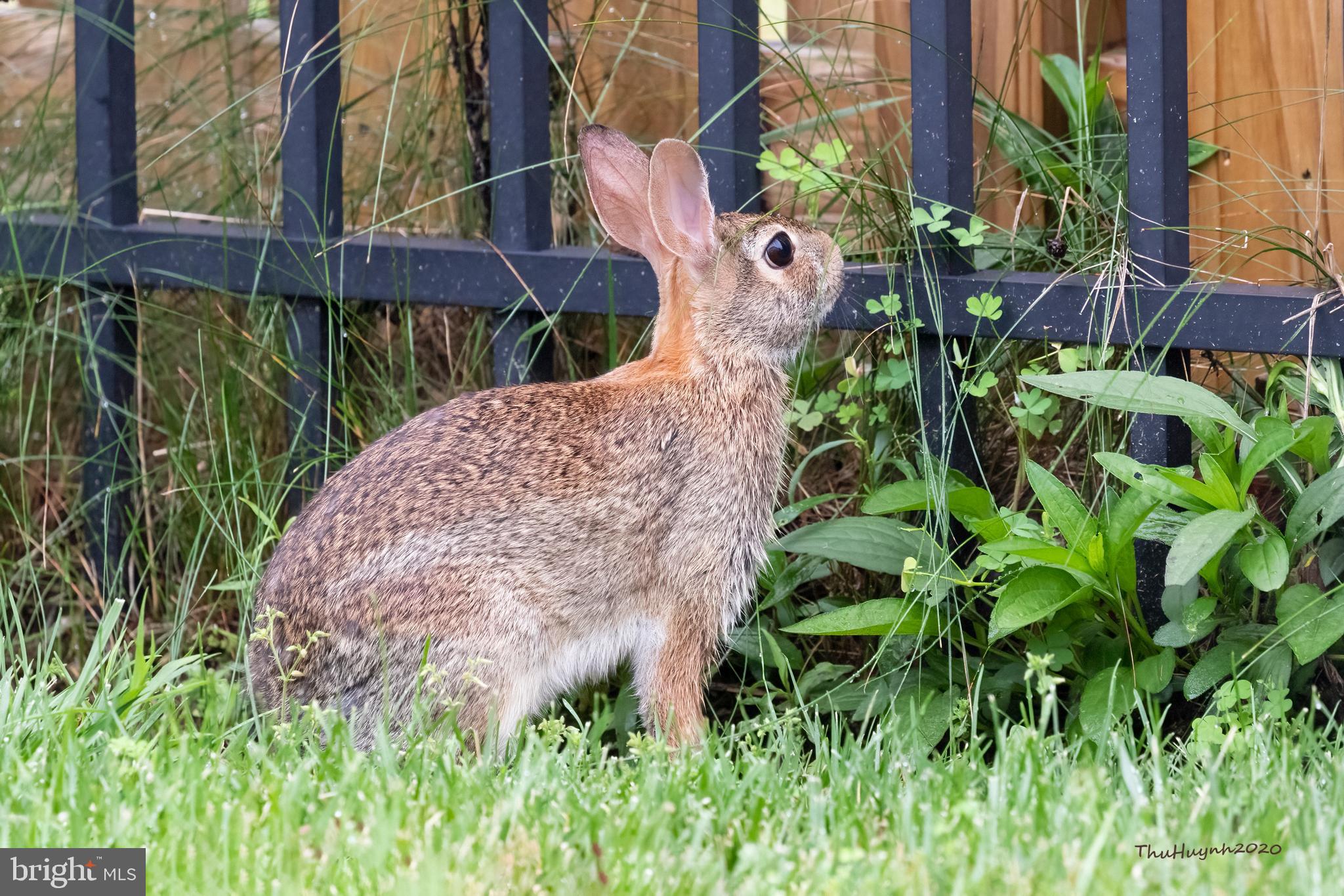 LOUDOUN VALLEY ESTATES - Residential