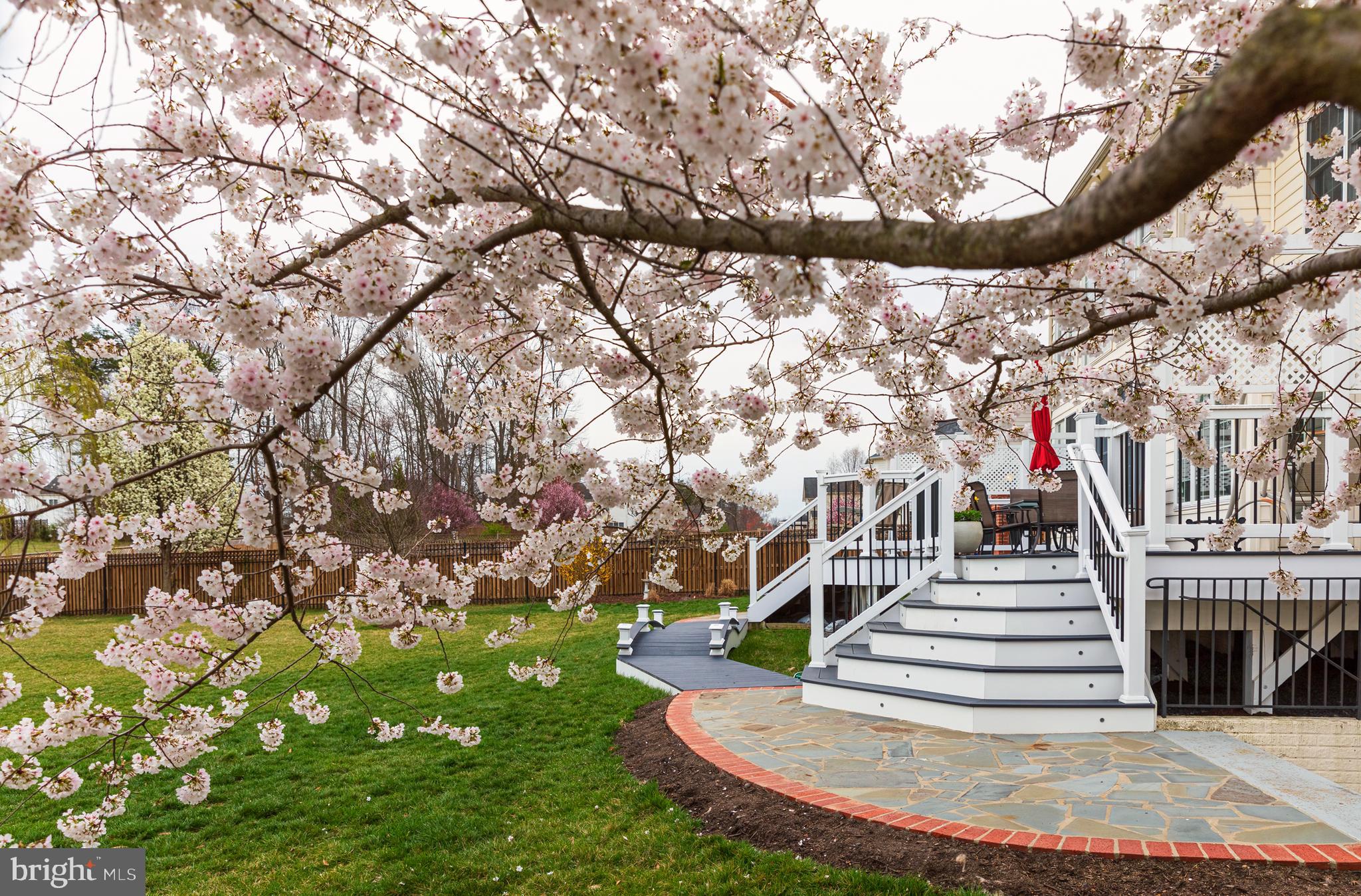 LOUDOUN VALLEY ESTATES - Residential