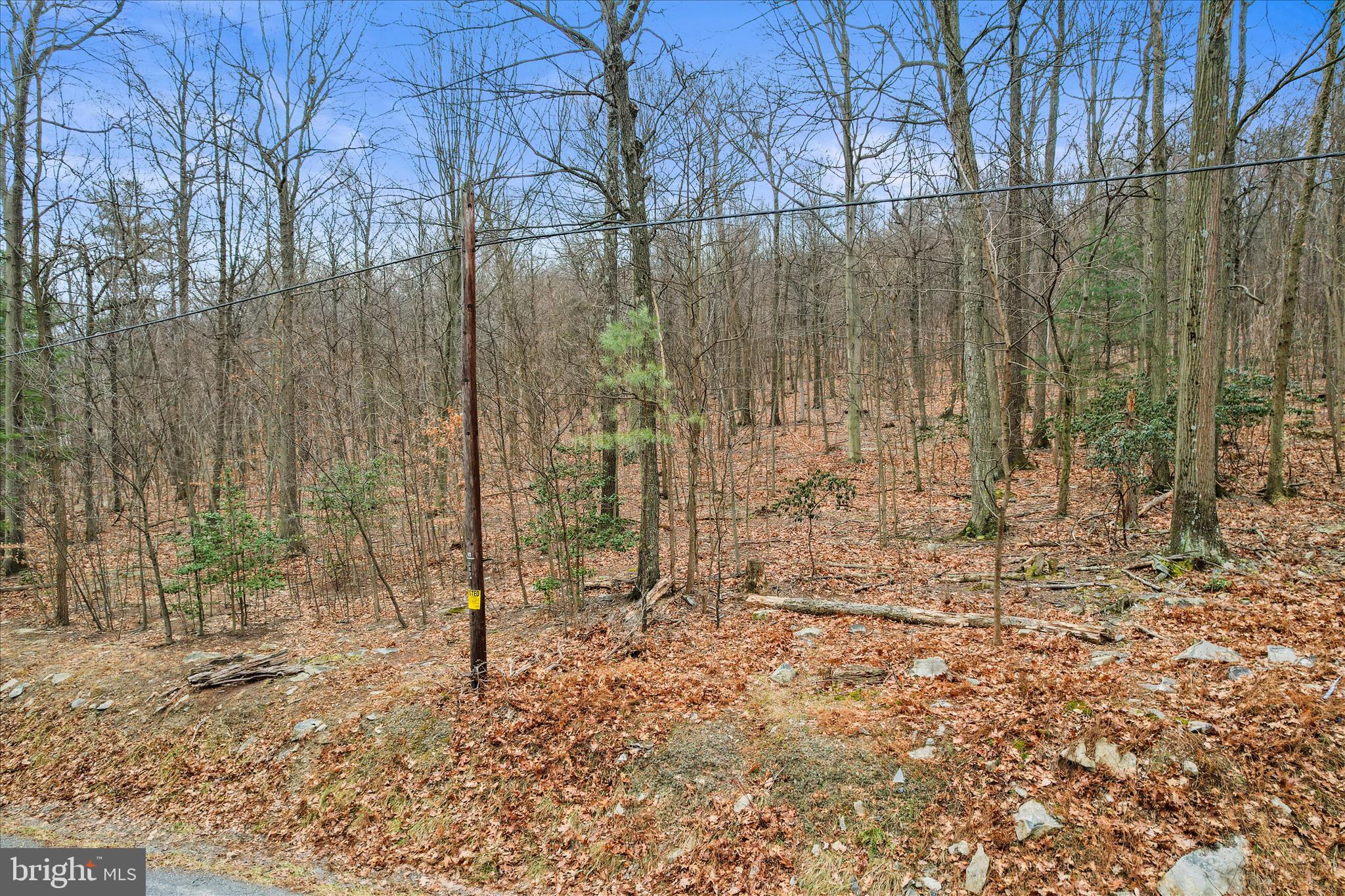 1350 MOUNT CARMEL ROAD