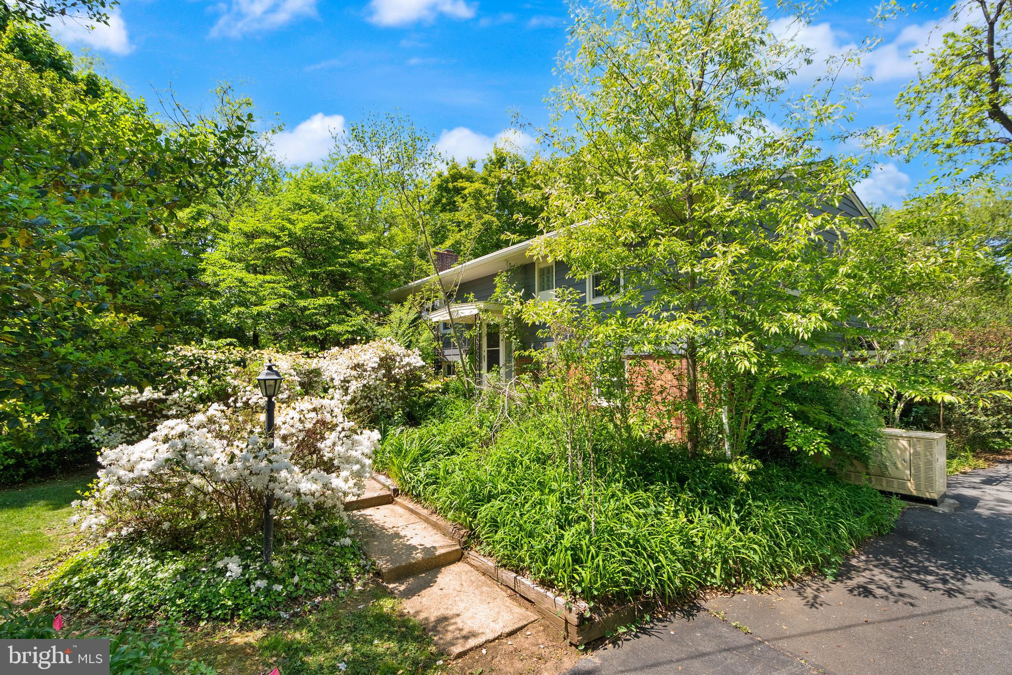 CHAIN BRIDGE RD/PATHFINDER LANE