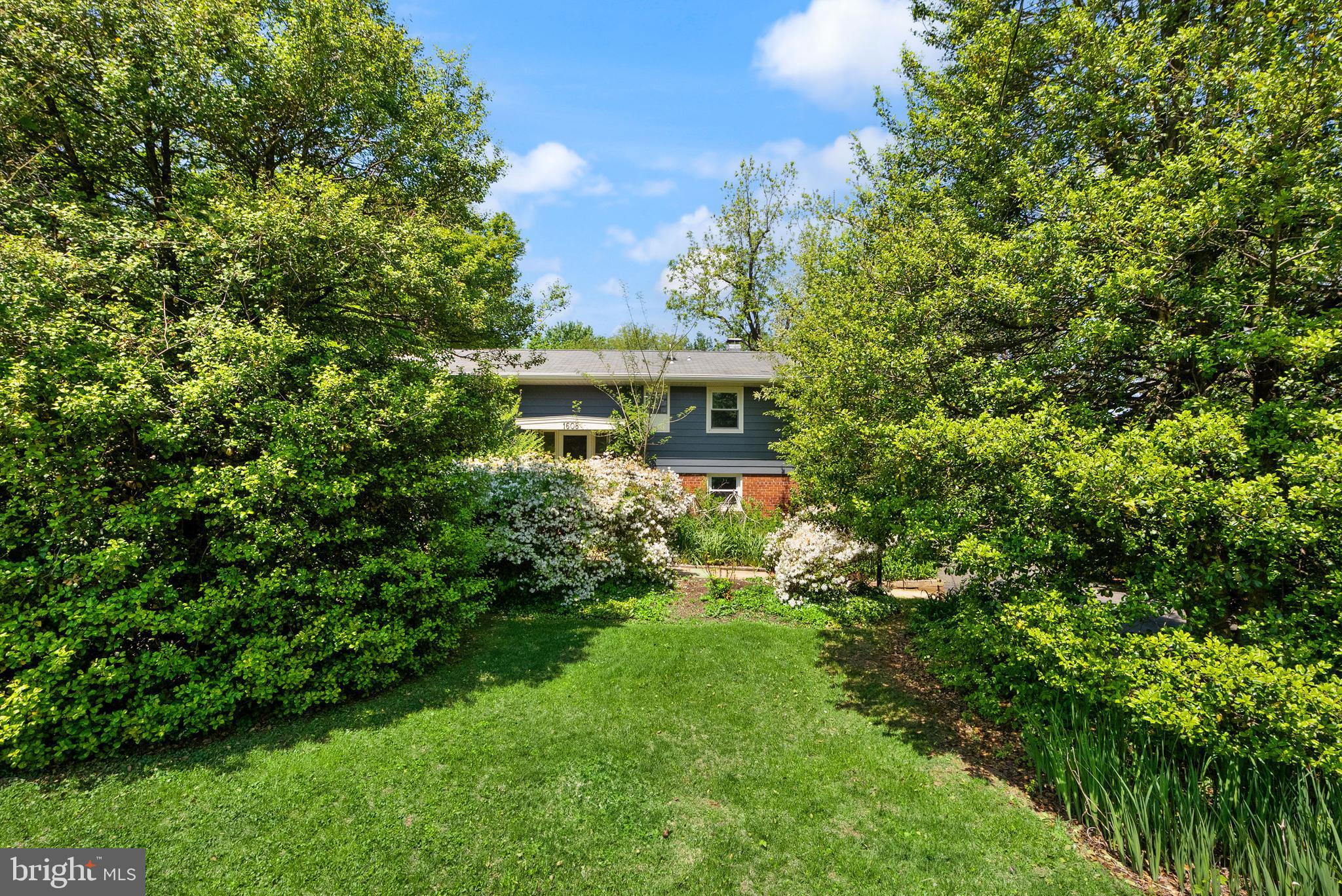 CHAIN BRIDGE RD/PATHFINDER LANE