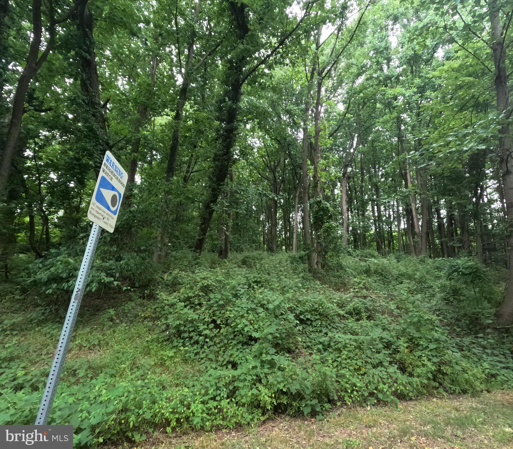 WHEATON OUT RES. (2) - Land